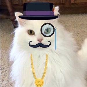 Meet your Posher, William